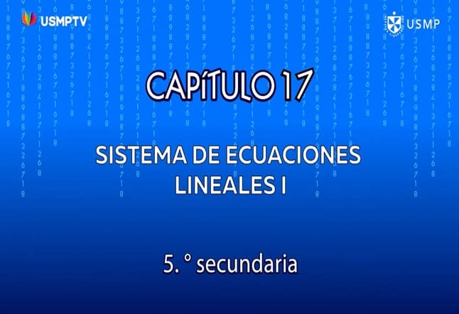 Capítulo N. ° 17 - Sistema de ecuaciones lineales